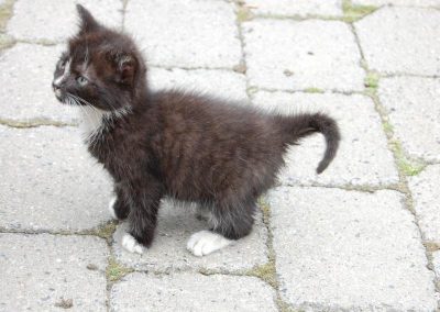 3267_2540182835_f4f8bc3809_b_800_600_nofilter