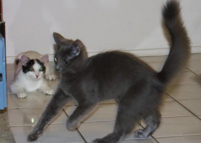 7818_32246899957_4aa900b417_c_800_600_nofilter