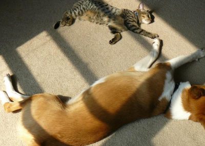 7822_47184804701_f16af98e13_b_800_600_nofilter